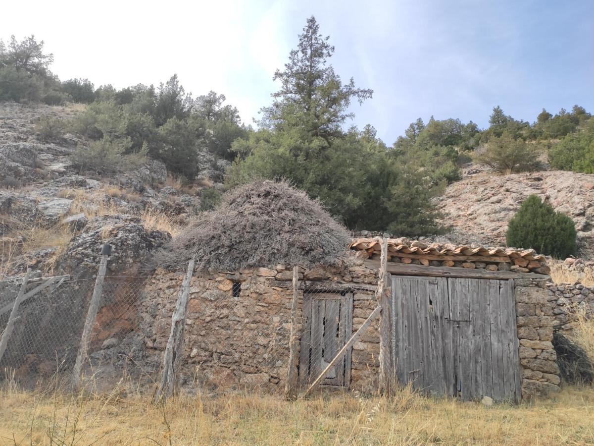 Casa Rural Sierra Del Solorio Iruecha Exterior photo